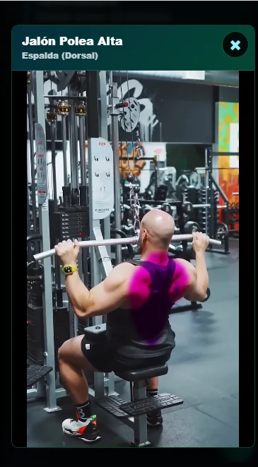 Videos de ejercicios en portal cliente de gimnasio